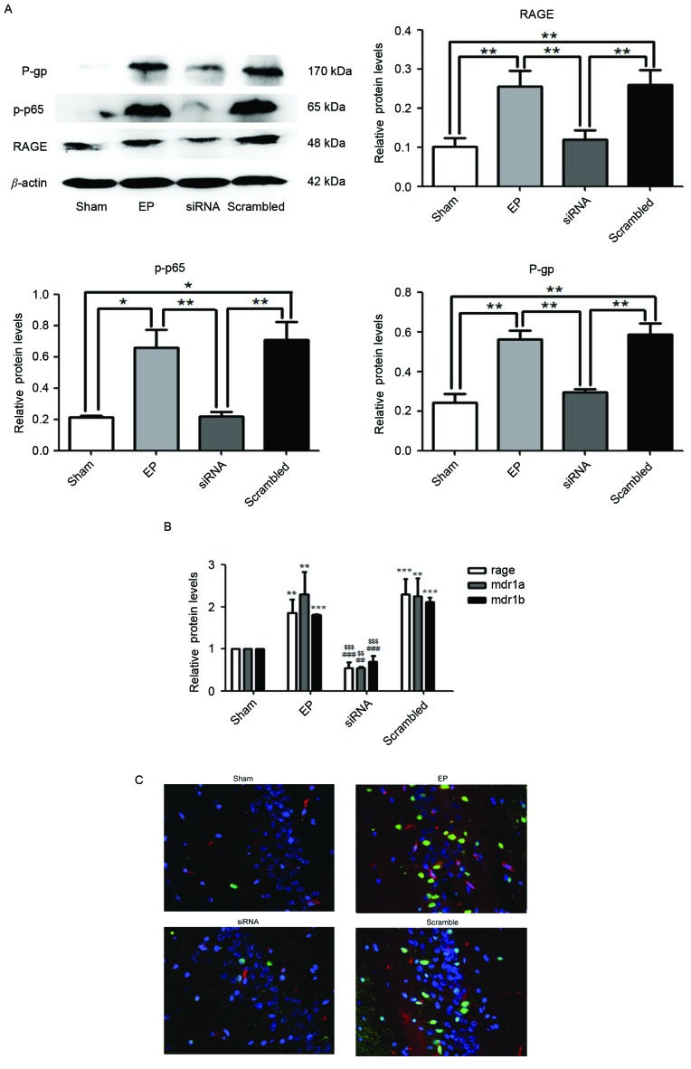 Figure 3.