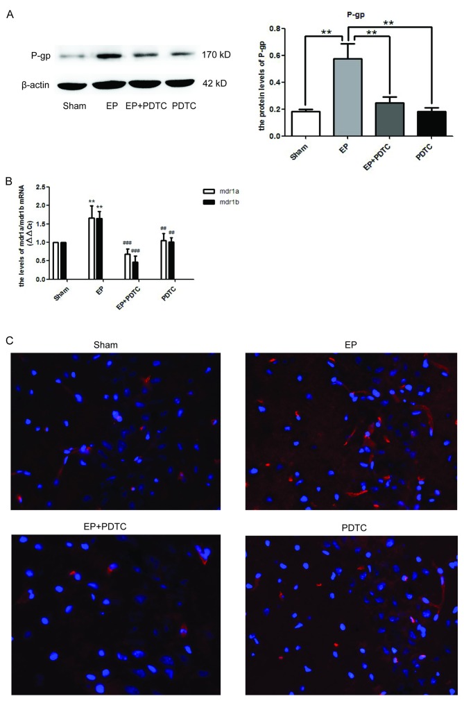 Figure 4.