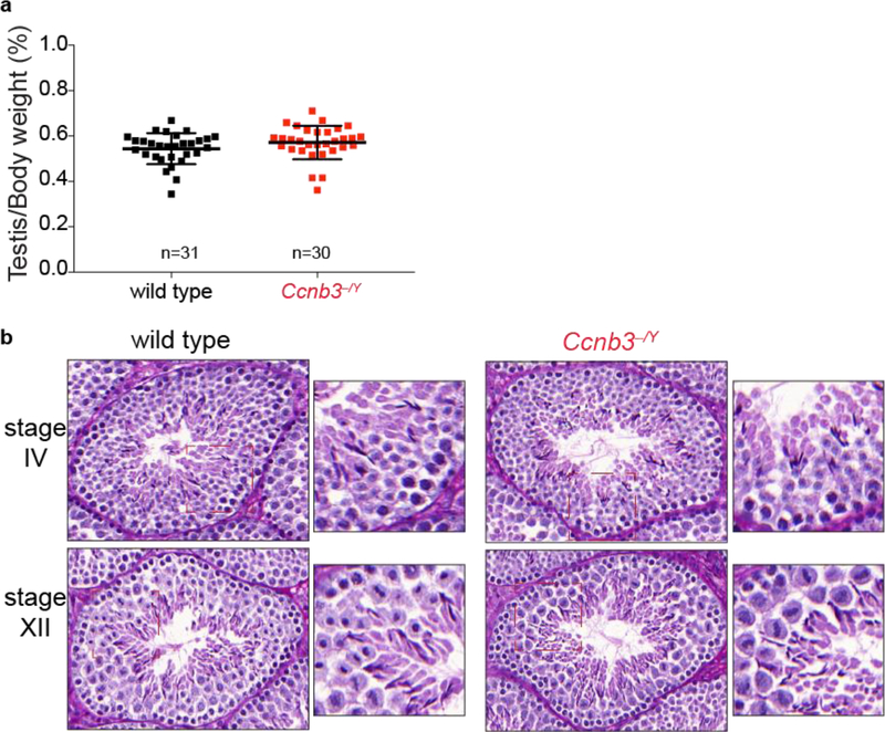 Figure 3: