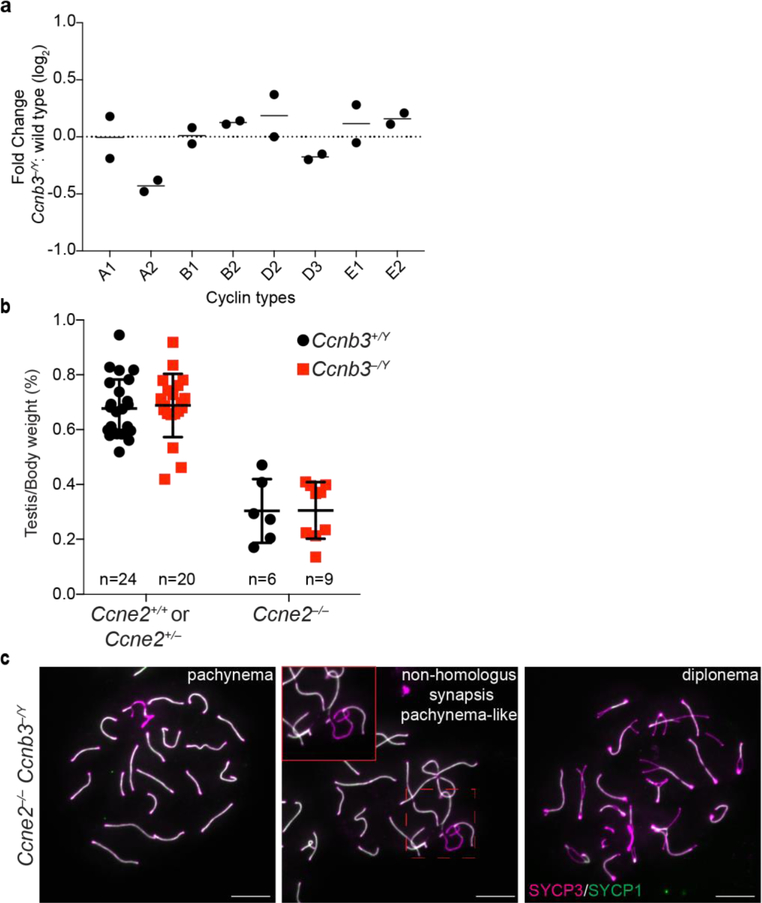 Figure 6: