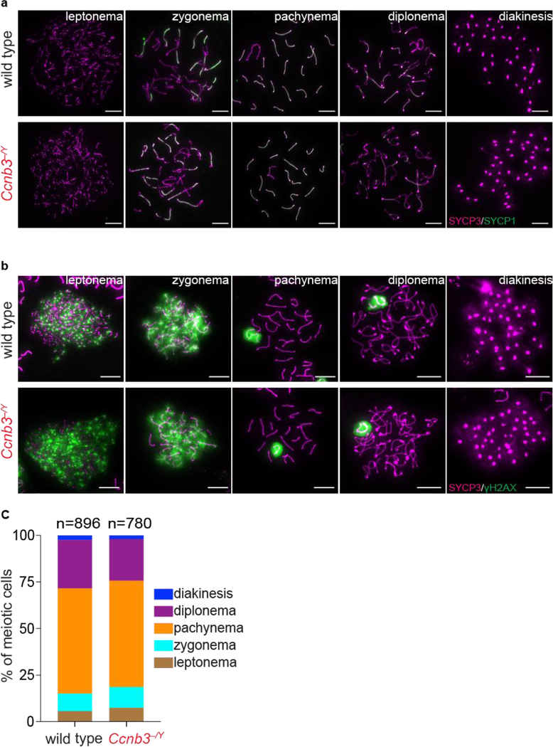 Figure 4: