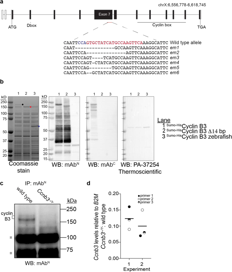 Figure 2: