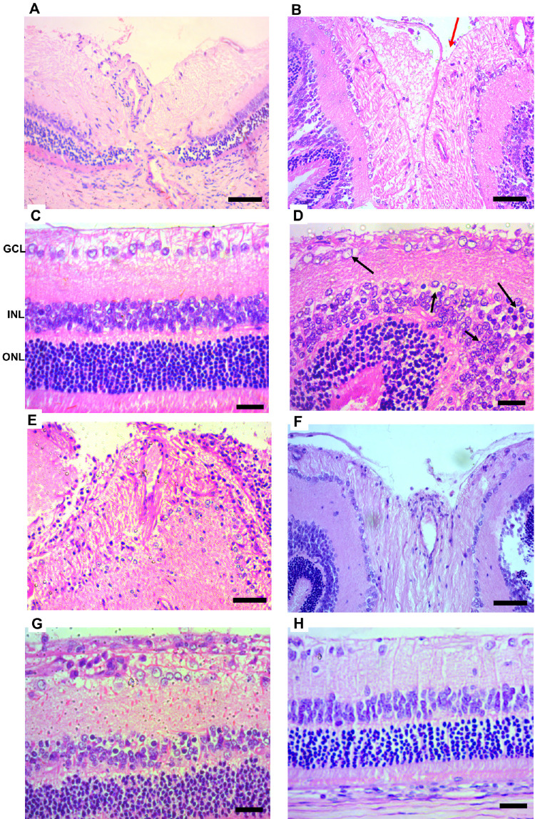 Figure 9.