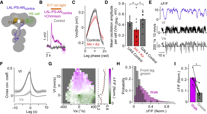 Figure 7