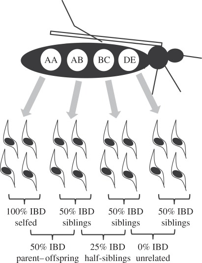 Figure 1.