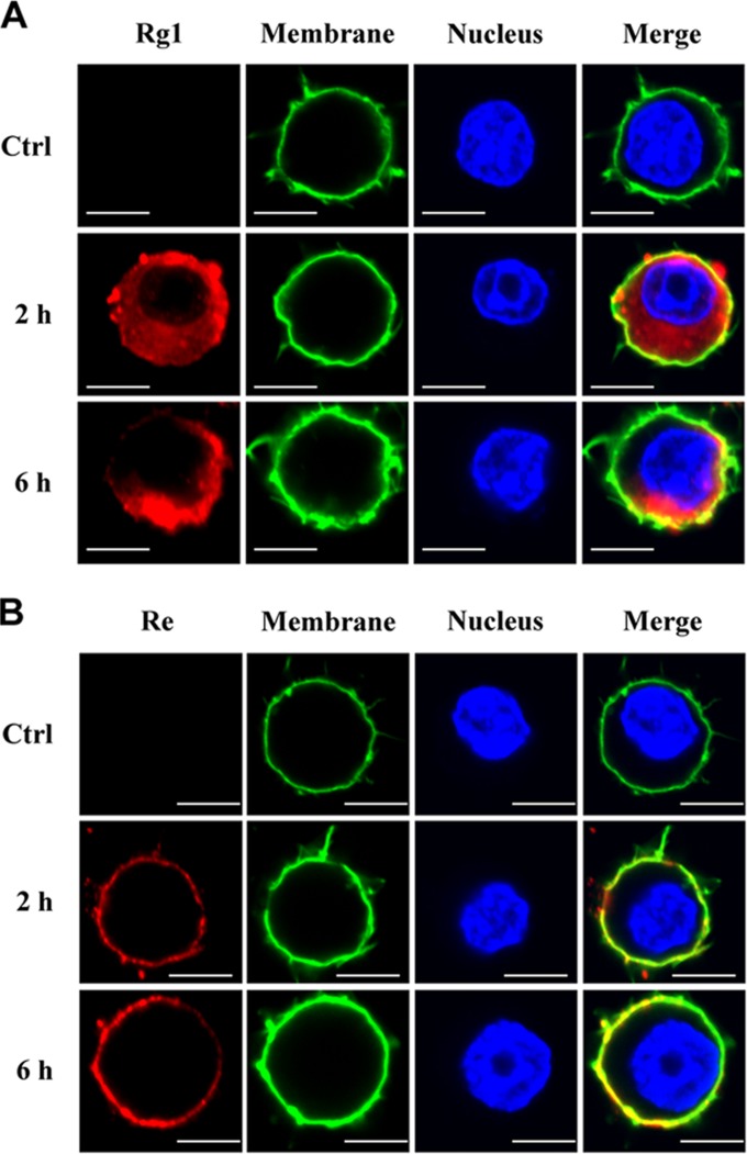 FIG 3