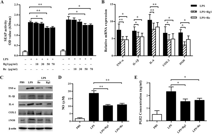 FIG 1