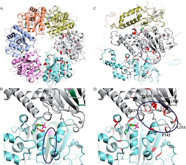 FIGURE 7.