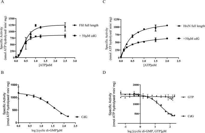 FIGURE 5.