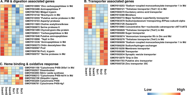 Fig 6