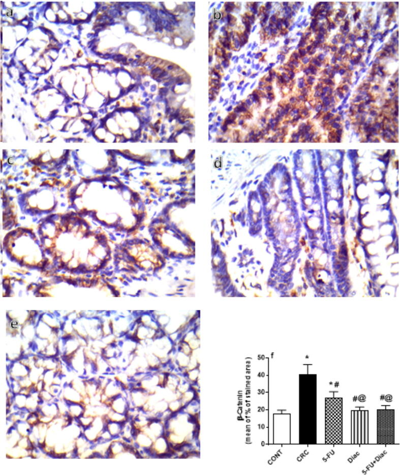 Fig. 12