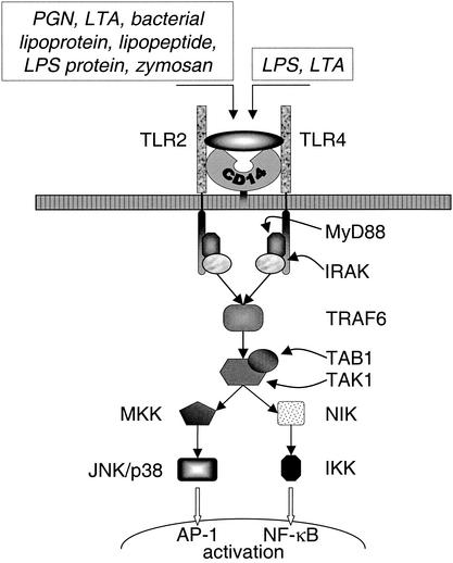 FIG. 5.