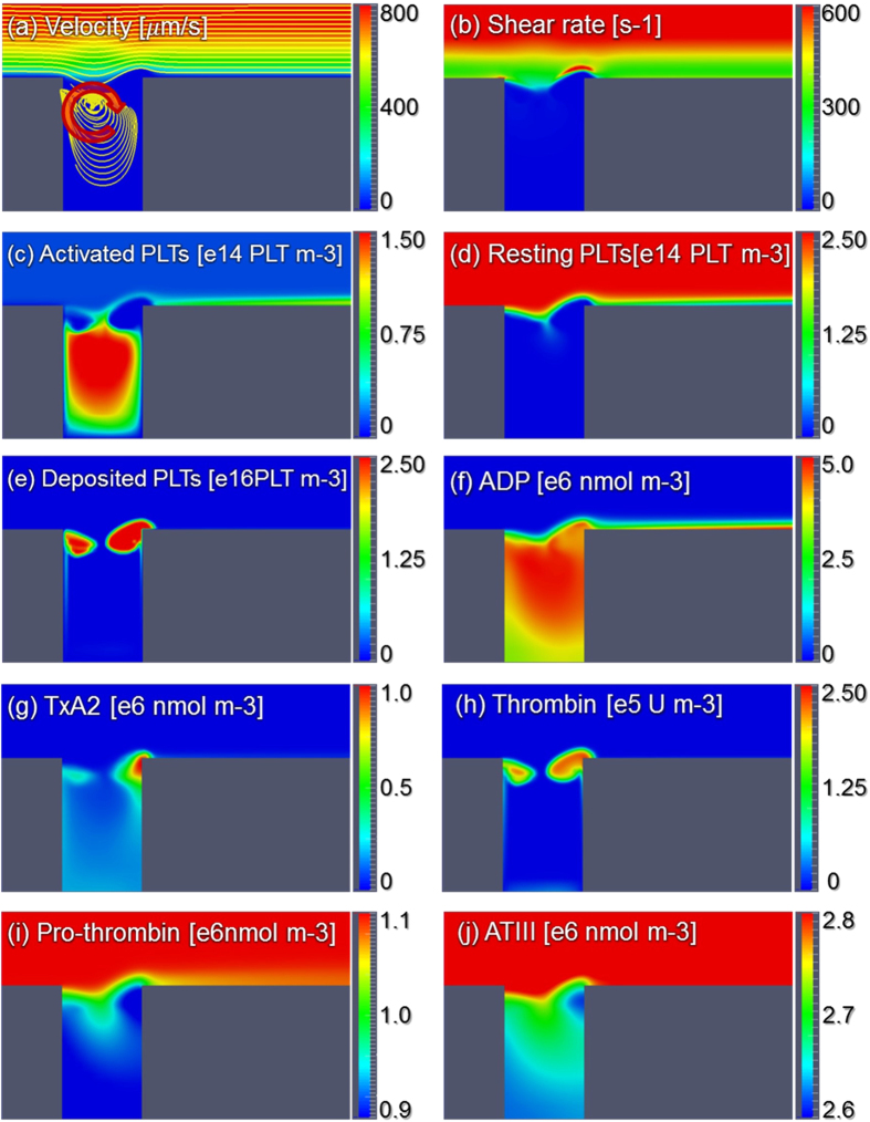 Figure 12