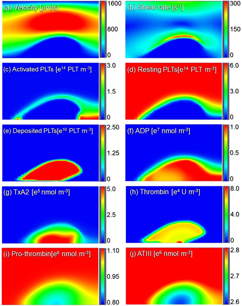 Figure 6