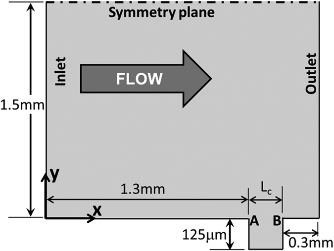 Figure 8