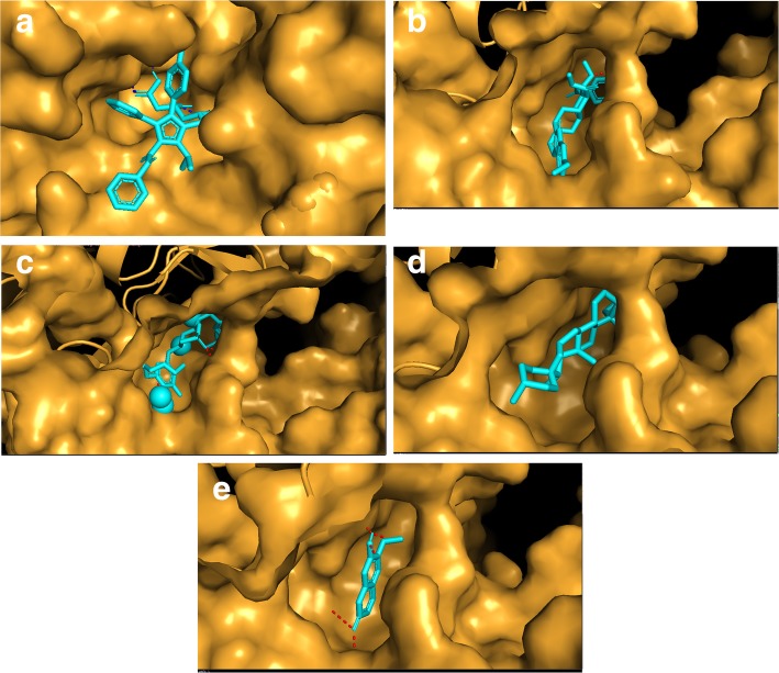 Fig. 7