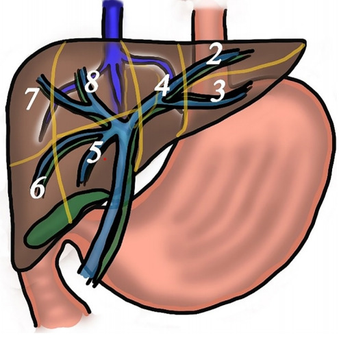 Fig. 1.