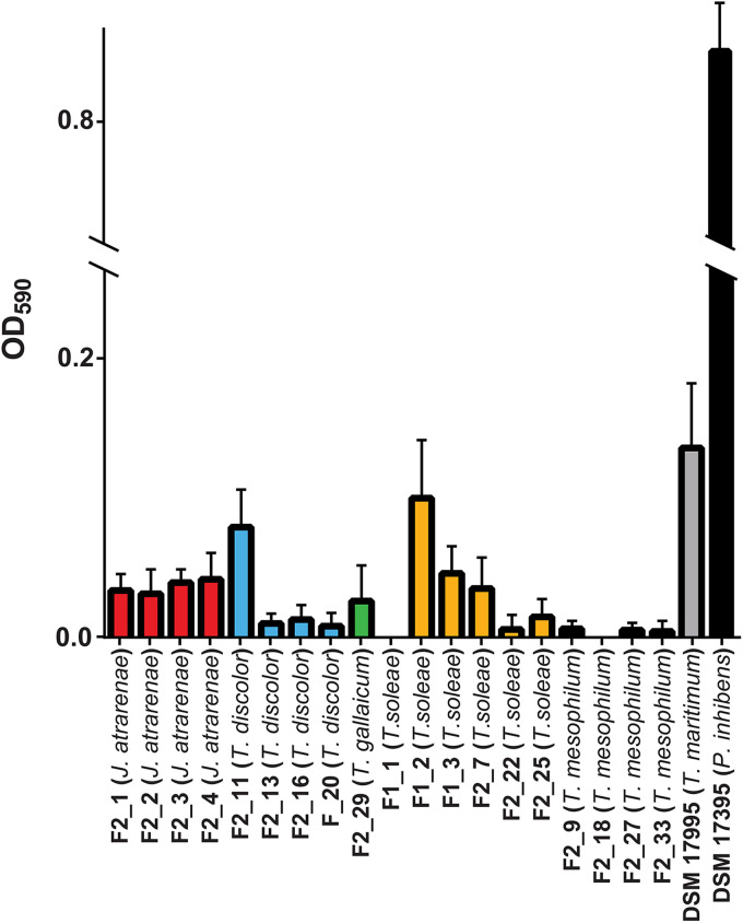 FIG 2