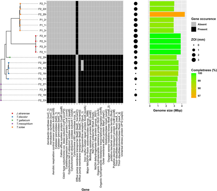 FIG 4