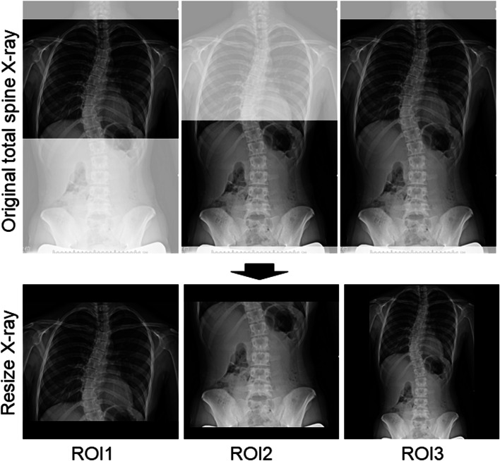 Fig. 3