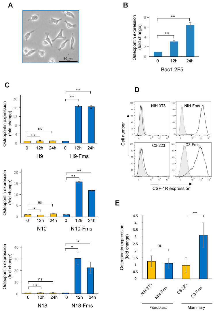 Figure 5