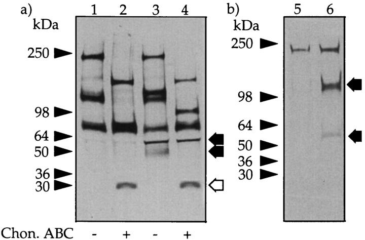 Figure 9.