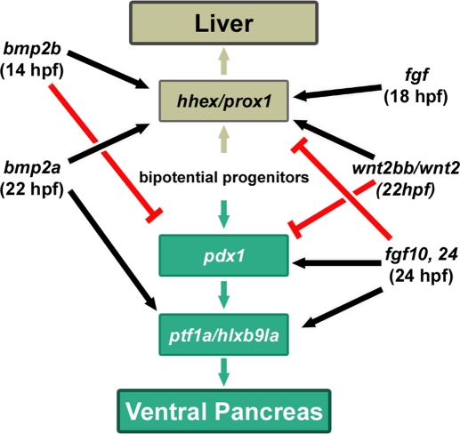 FIGURE 6: