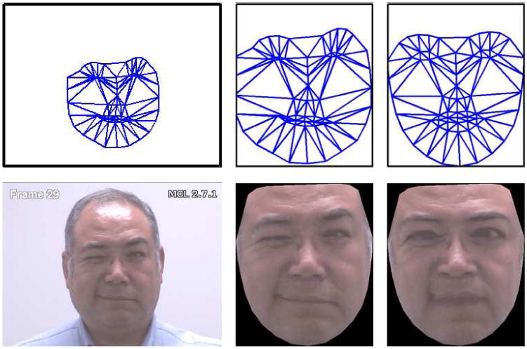 Fig. 2