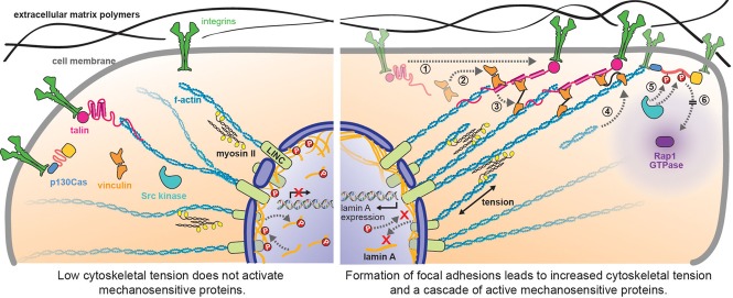 FIGURE 2: