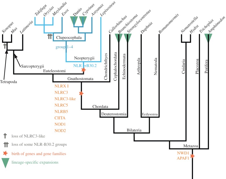 Figure 4.