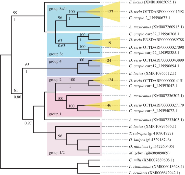 Figure 3.