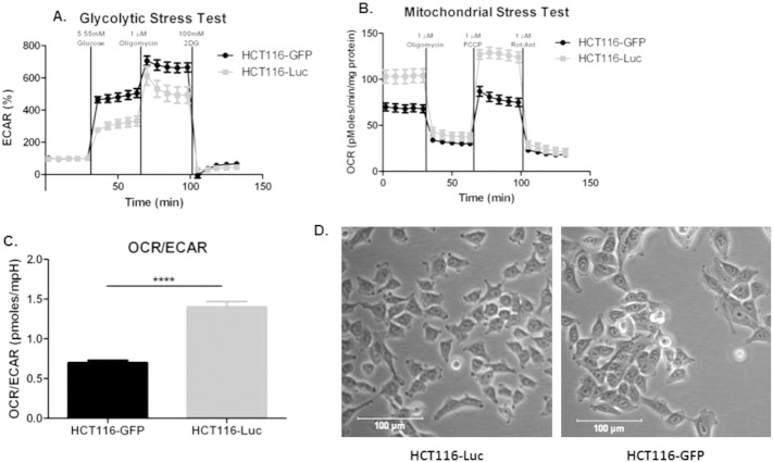 Supplemental Figure 3