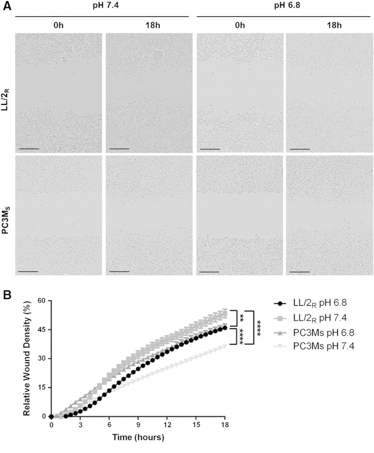 Figure 6