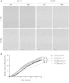 Figure 6