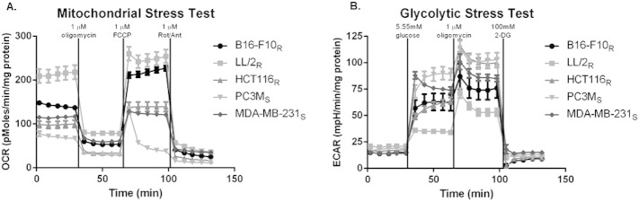 Supplemental Figure 2