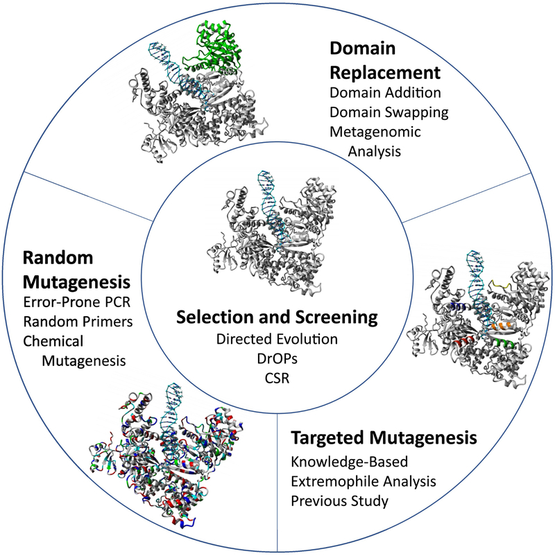 FIGURE 3: