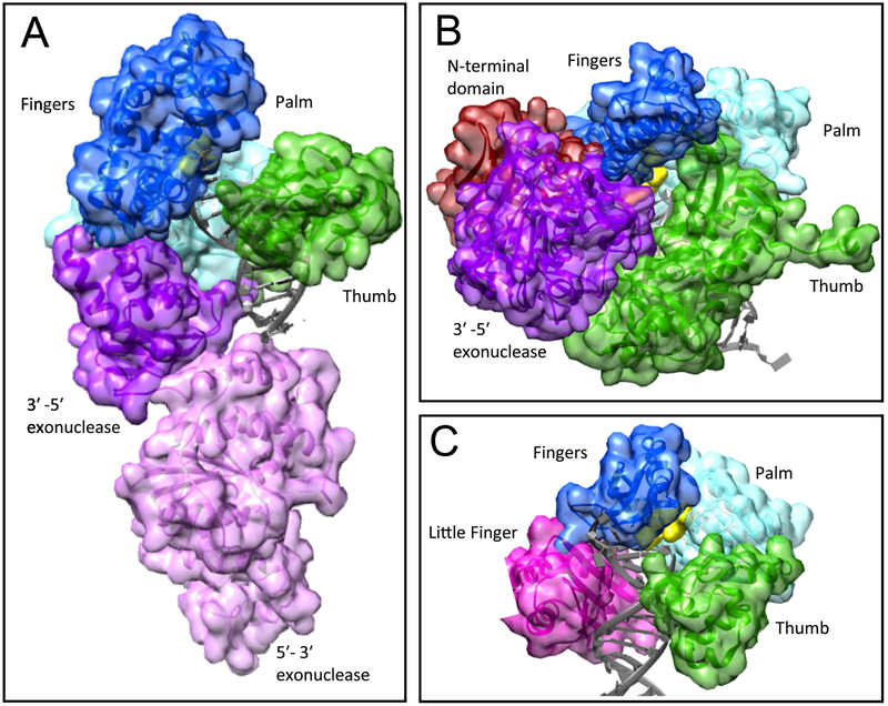 FIGURE 1.