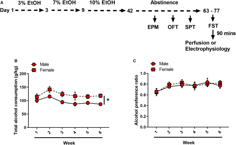 FIGURE 1