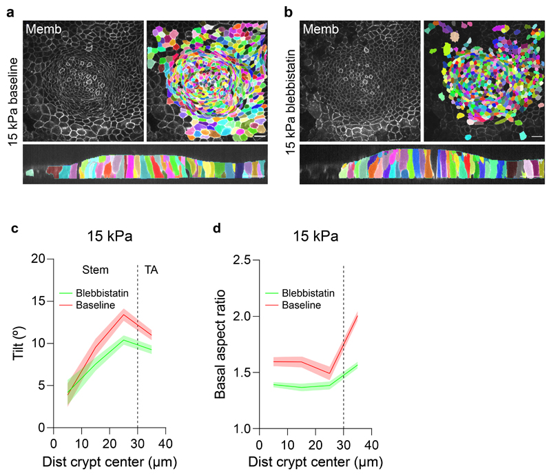 Extended Data Fig. 5