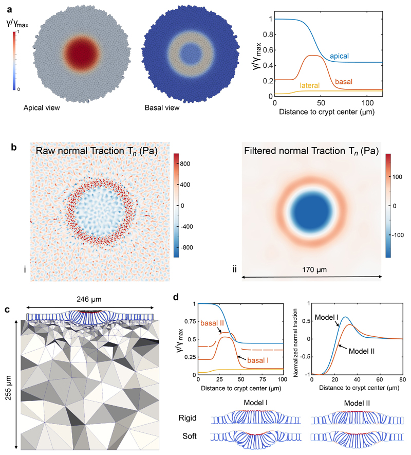 Extended Data Fig. 7