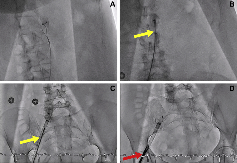 Figure 3