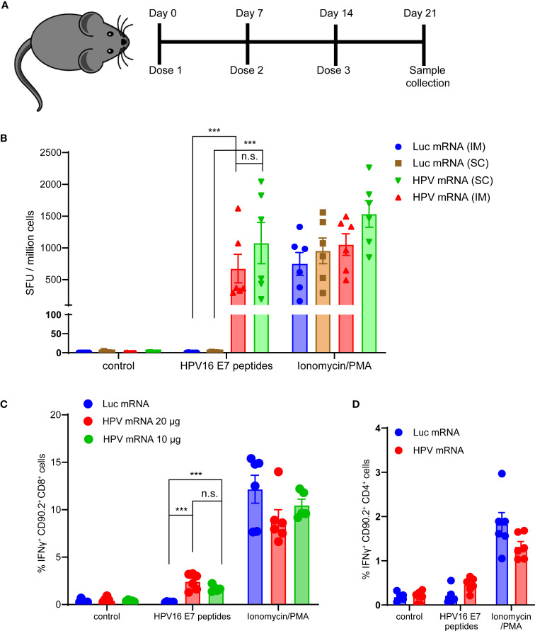 Figure 3