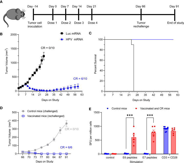 Figure 5