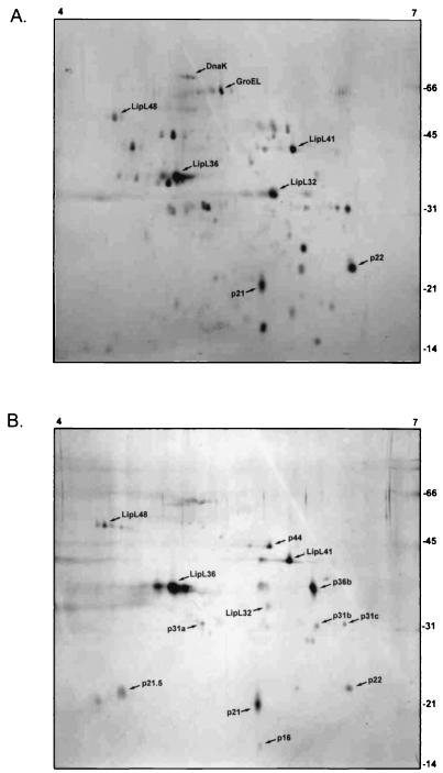 FIG. 5.