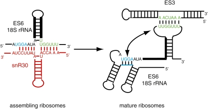 FIGURE 4.