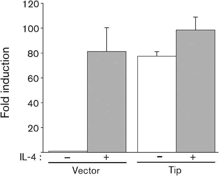 Fig. 3. 