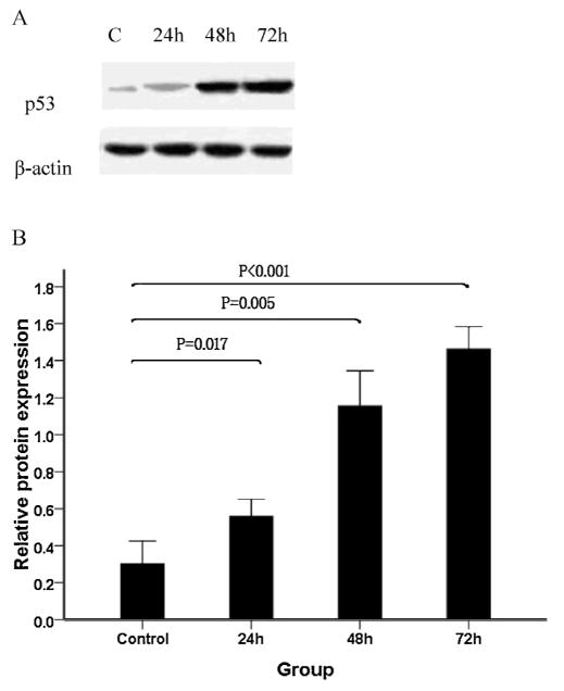 Fig. 6