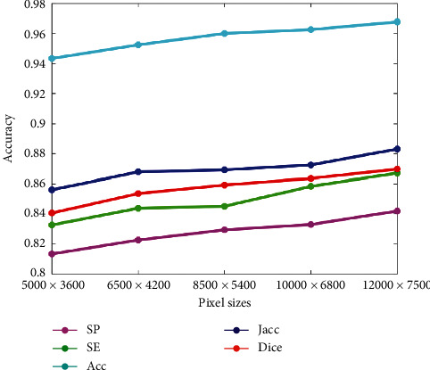 Figure 20