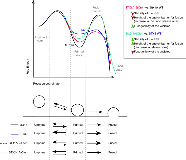 Figure 7.