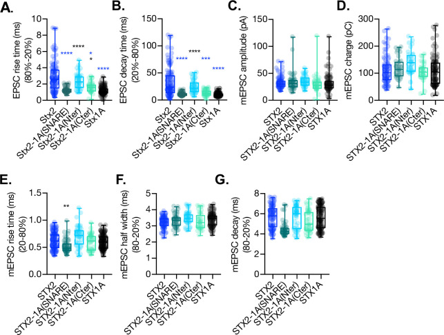 Figure 3—figure supplement 1.